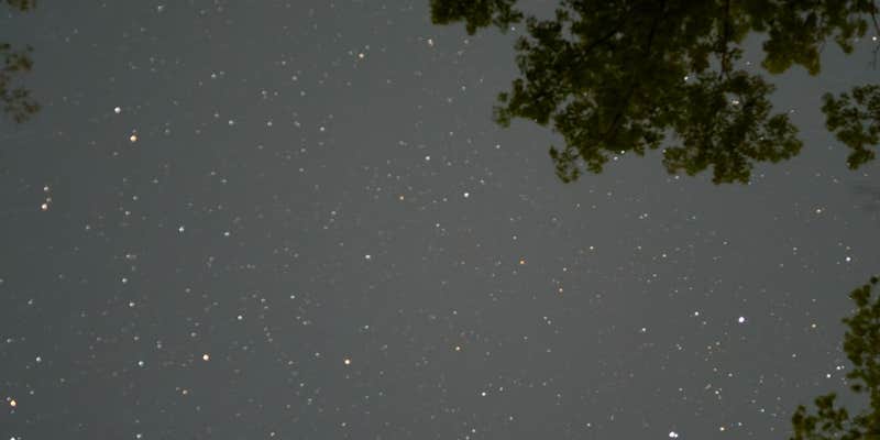 Camper submitted image from Mashamoquet Brook Campground — Mashamoquet Brook State Park