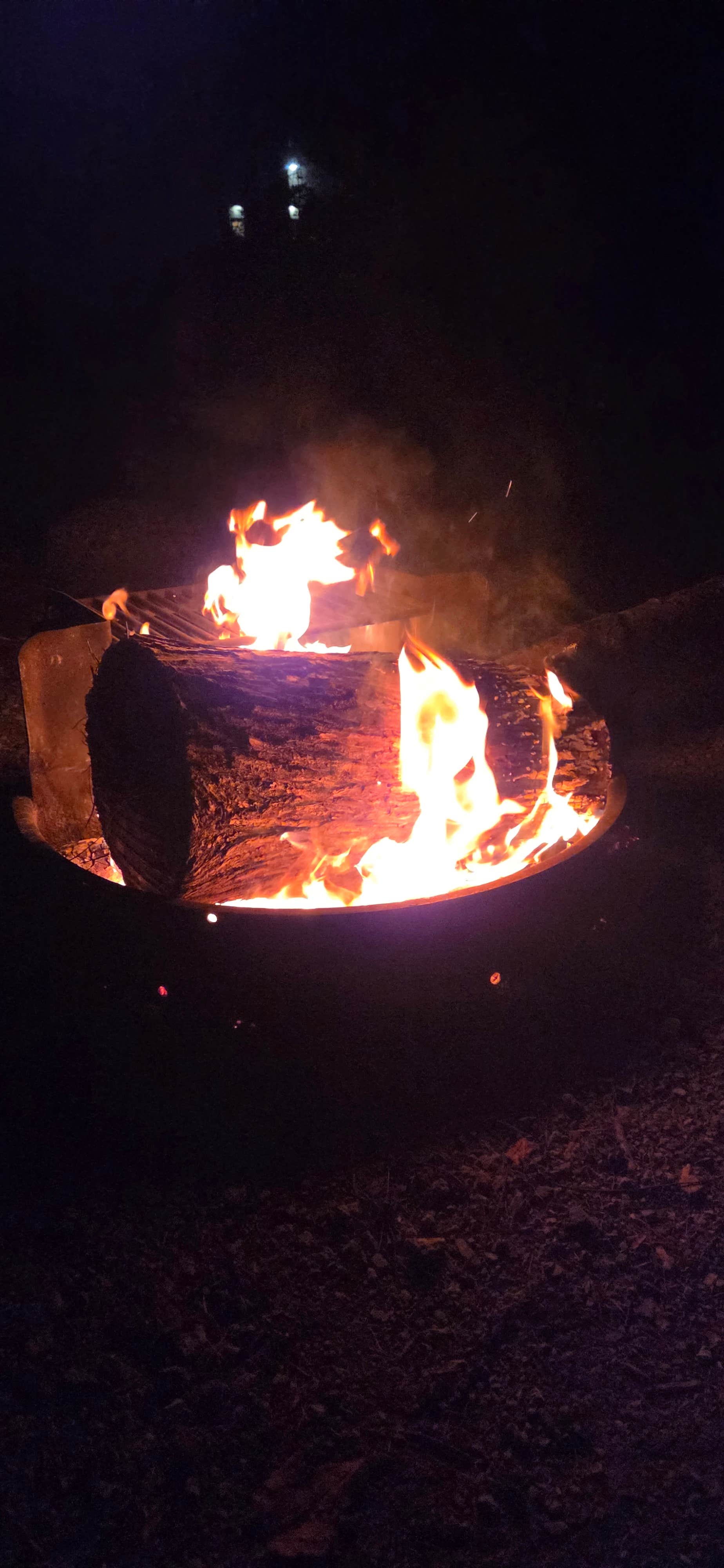 Camper submitted image from Clarksburg State Park Campground - 1