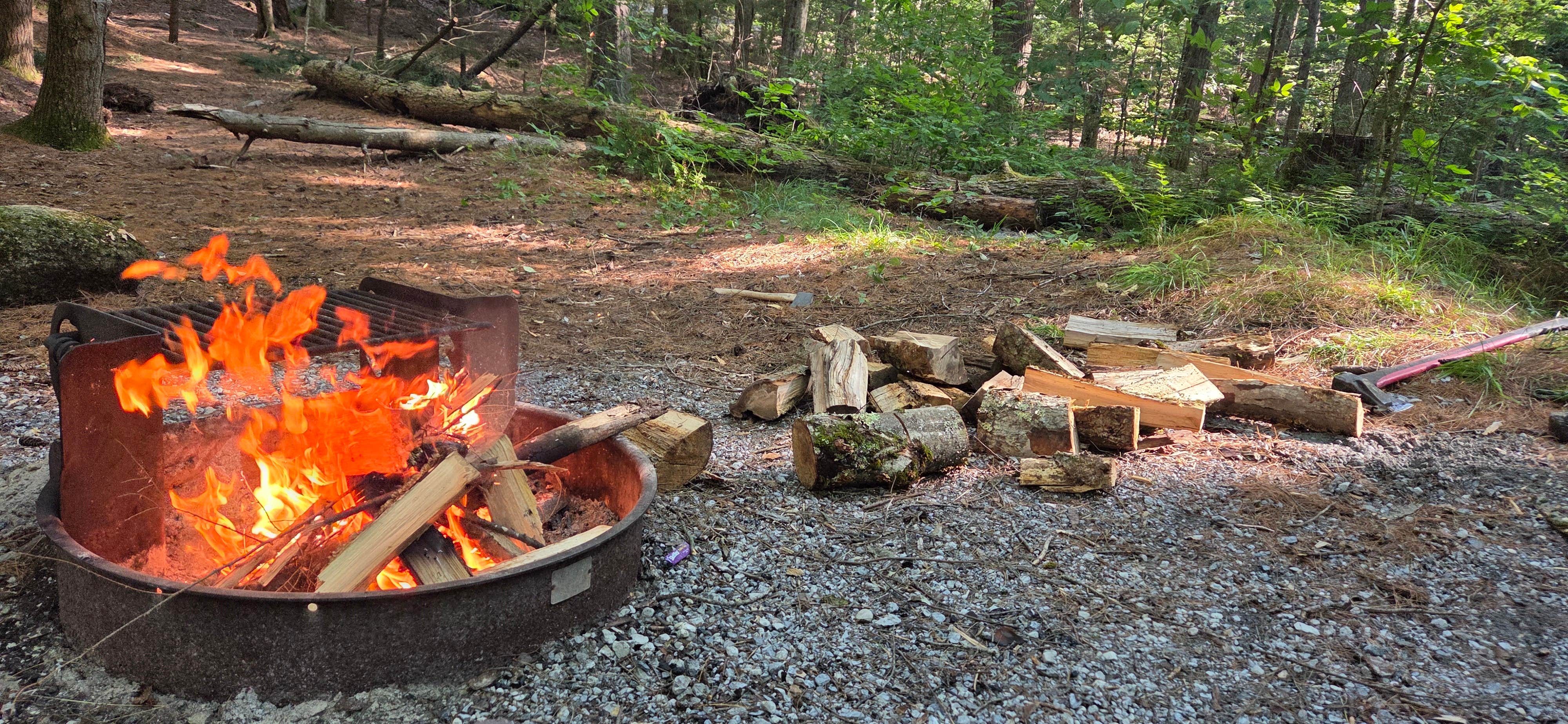 Camper-submitted photo at Clarksburg State Park Campground near Bennington, VT