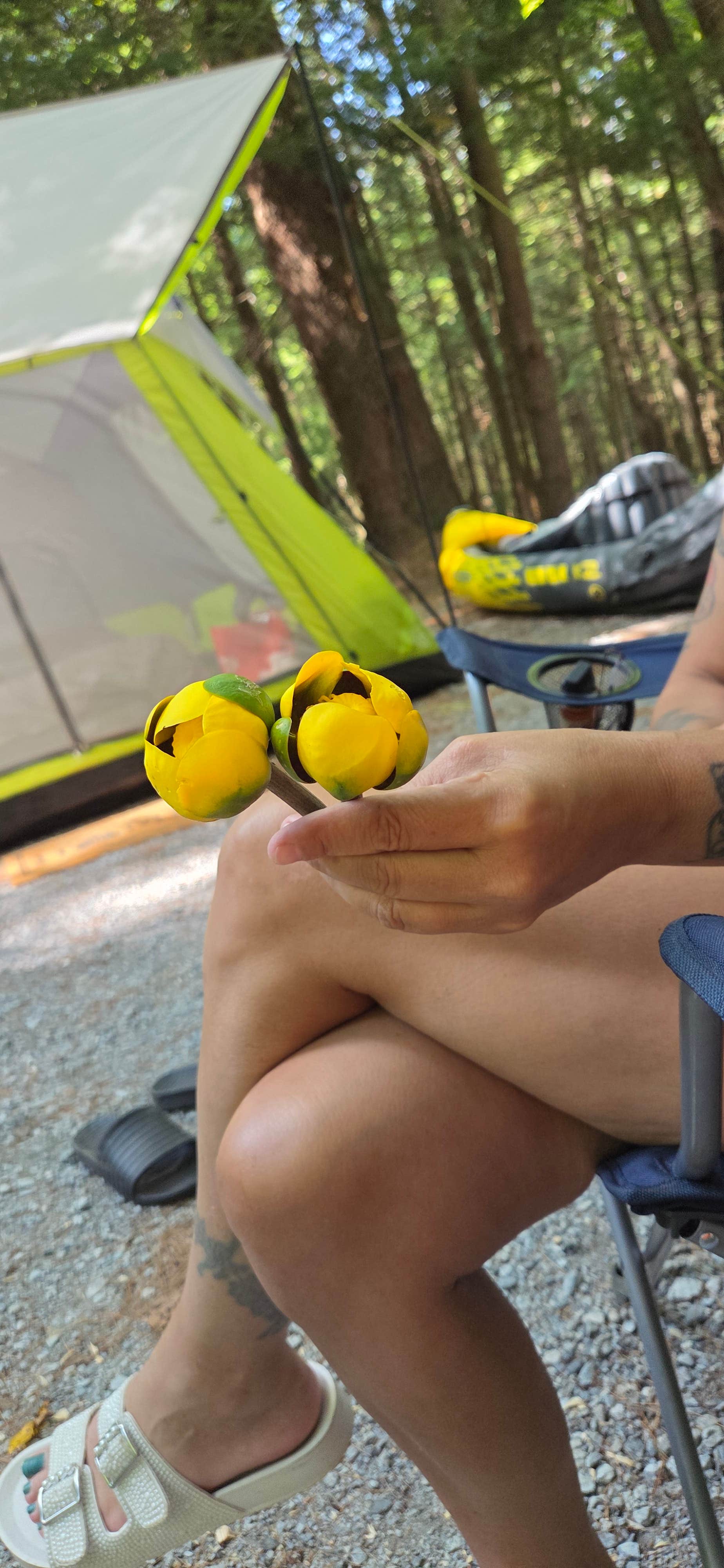 Eric LeBoeuf's photo at Clarksburg State Park Campground near Hoosick Falls, NY