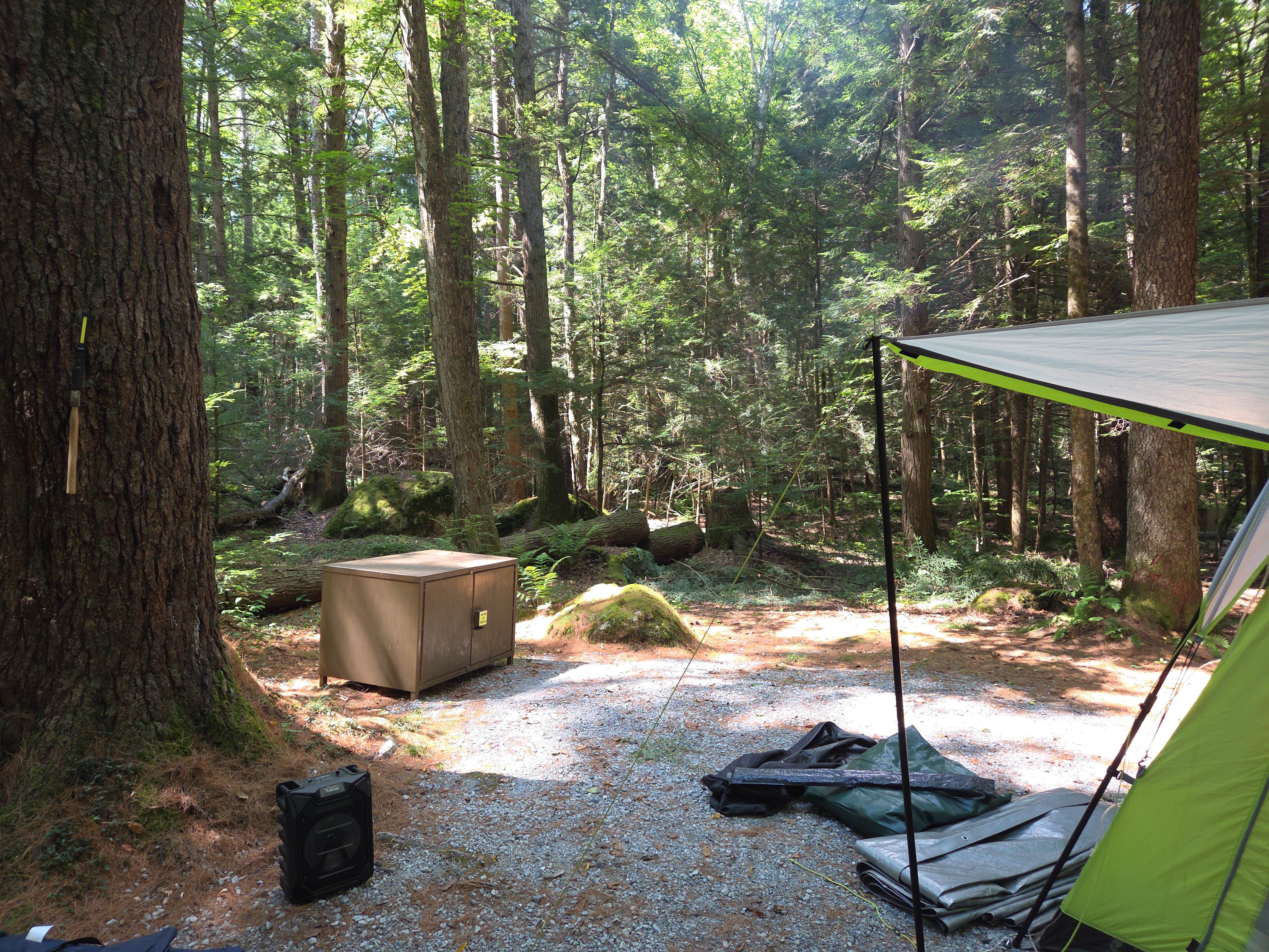 Camper-submitted photo at Clarksburg State Park Campground near Bennington, VT