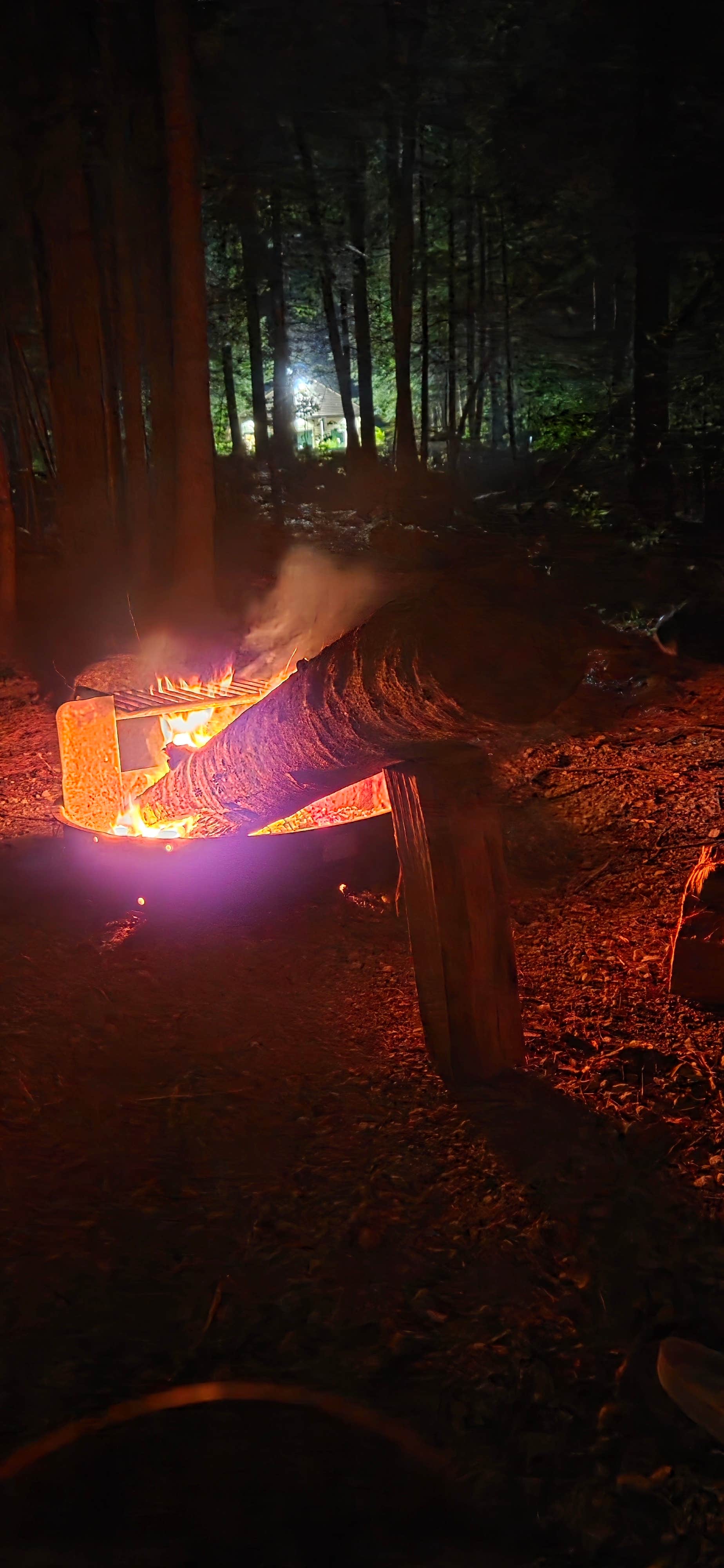 Camper-submitted photo at Clarksburg State Park Campground near Bennington, VT