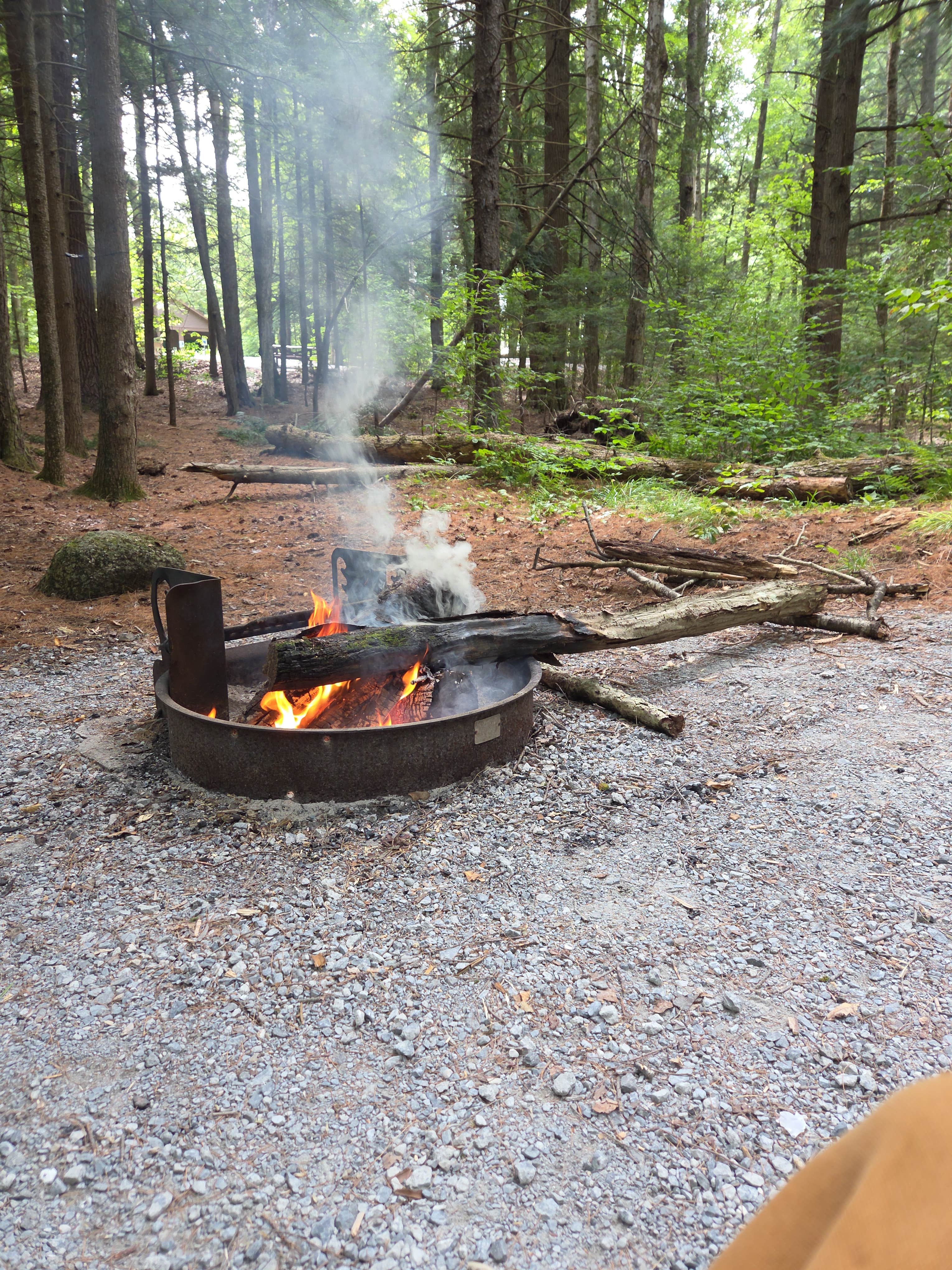 Camper-submitted photo at Clarksburg State Park Campground near Bennington, VT