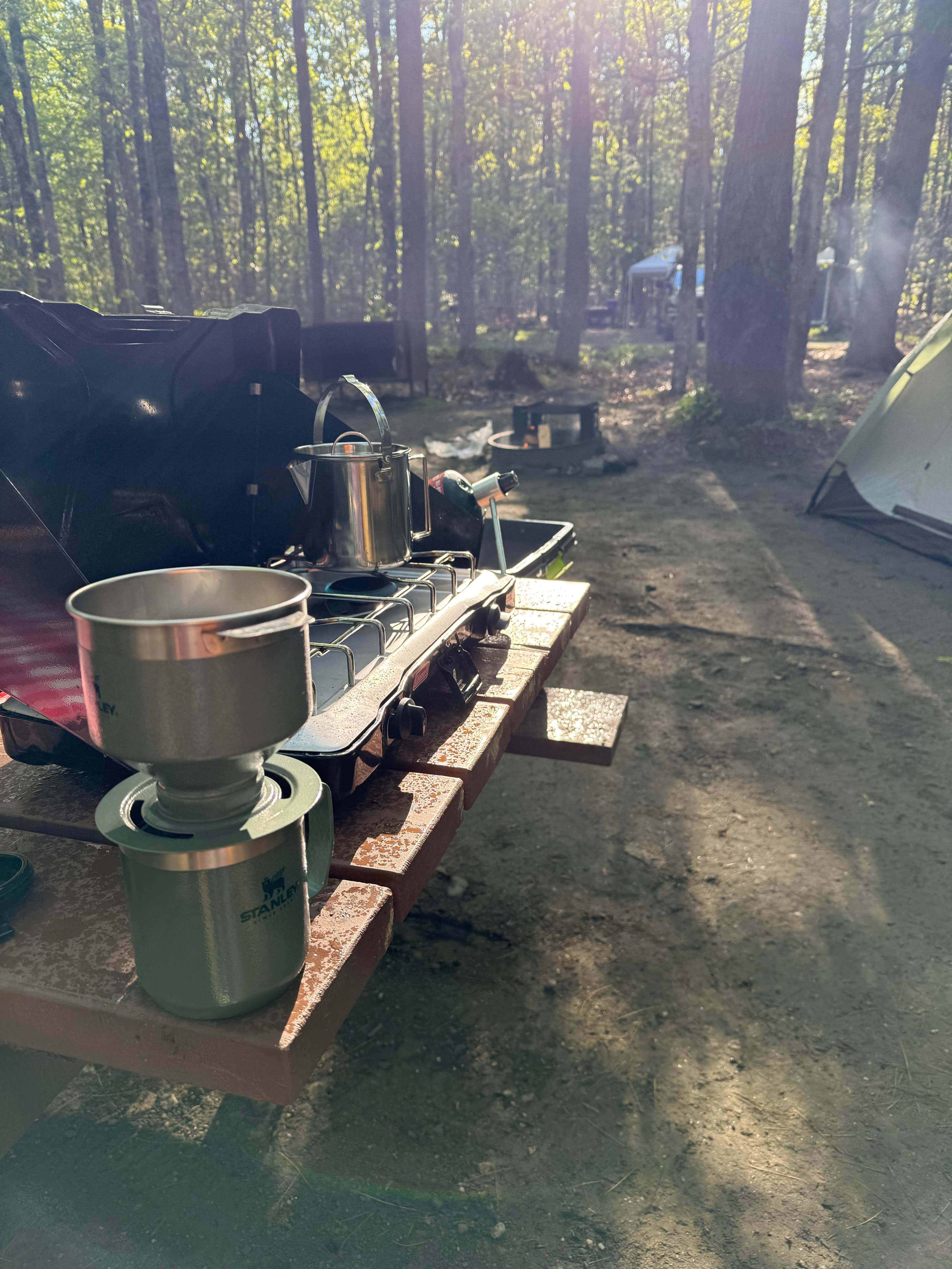 Kaileigh K.'s photo at Daughters of the American Revolution (DAR) State Forest Campground near Conway, MA