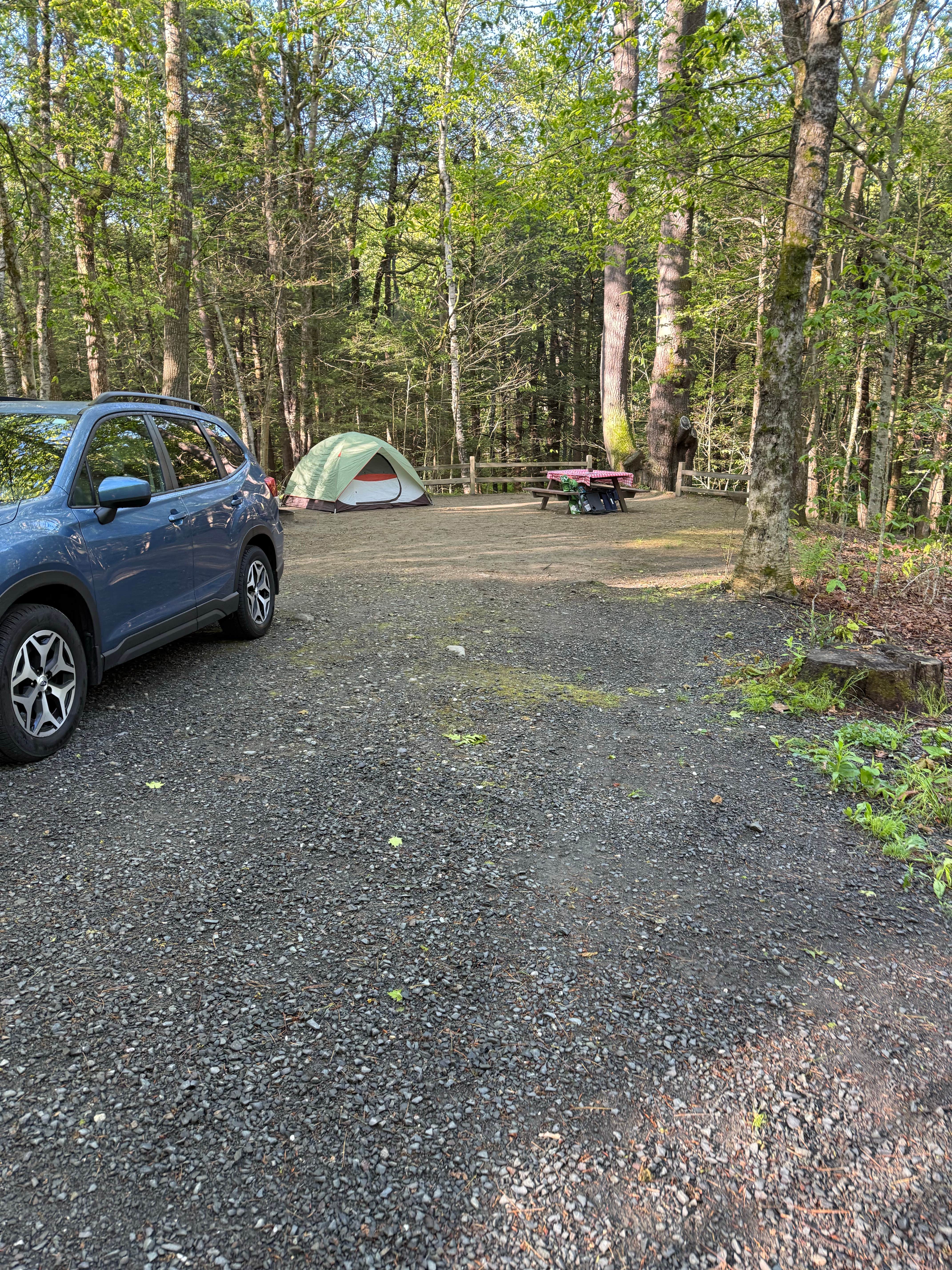 Kaileigh K.'s photo at Daughters of the American Revolution (DAR) State Forest Campground near Worthington, MA