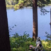Review photo of Lake Dennison Recreation Area by Bonnie B., February 26, 2025
