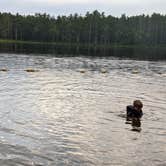 Review photo of Lake Dennison Recreation Area by Bonnie B., February 26, 2025