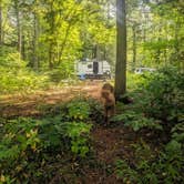 Review photo of Lake Dennison Recreation Area Campground by Rachael K., August 17, 2025