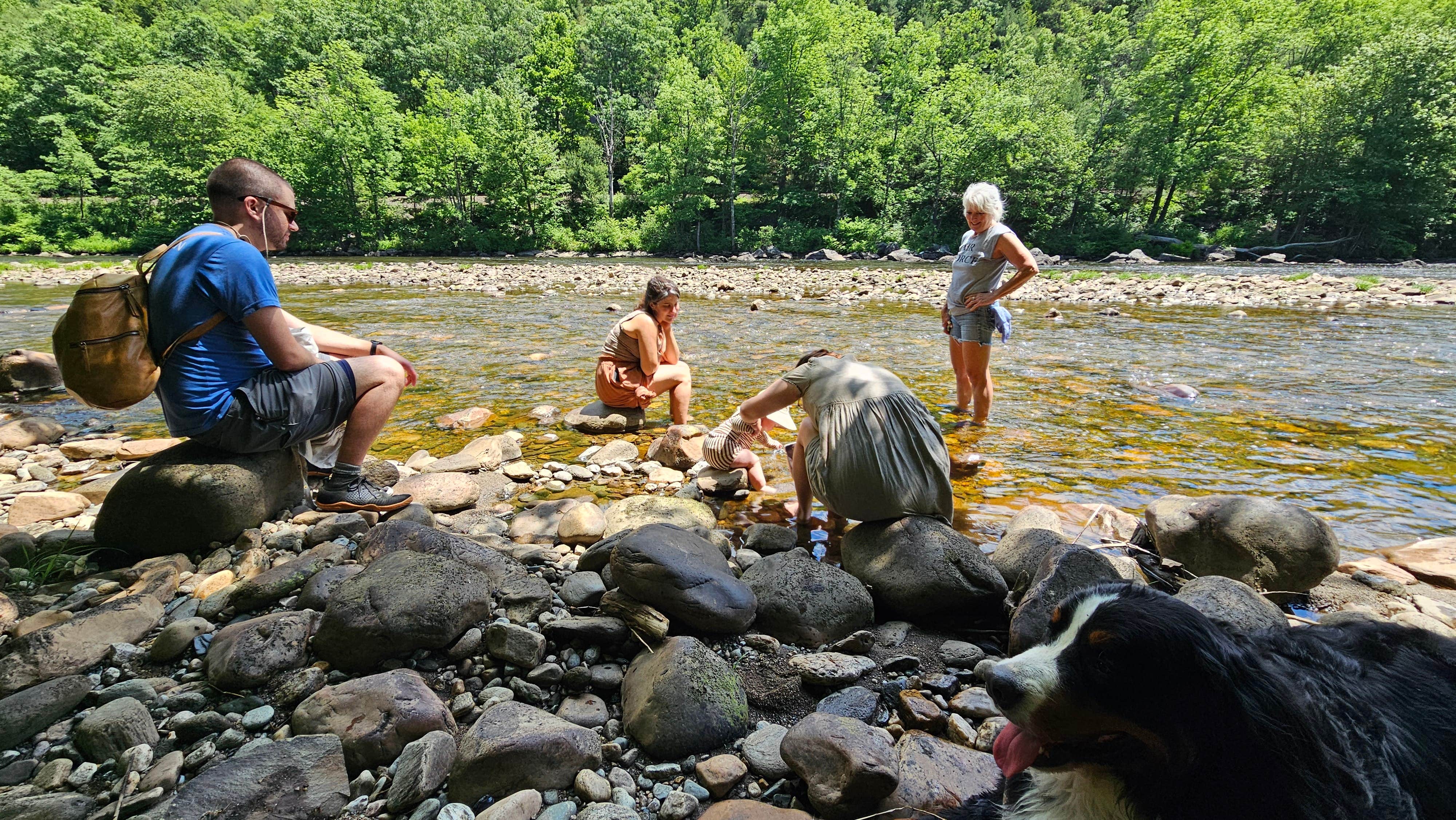 Matt R.'s photo of camping with pets at Mohawk Trail State Forest Campground near Drury, MA