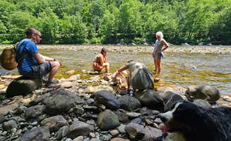Matt R.'s photo of camping with pets at Mohawk Trail State Forest Campground near Ashfield, MA