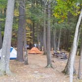 Review photo of Mohawk Trail State Forest Campground by Sue B., August 2, 2026
