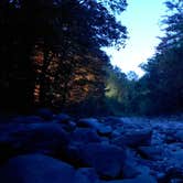 Review photo of Mohawk Trail State Forest by Matt R., July 5, 2024