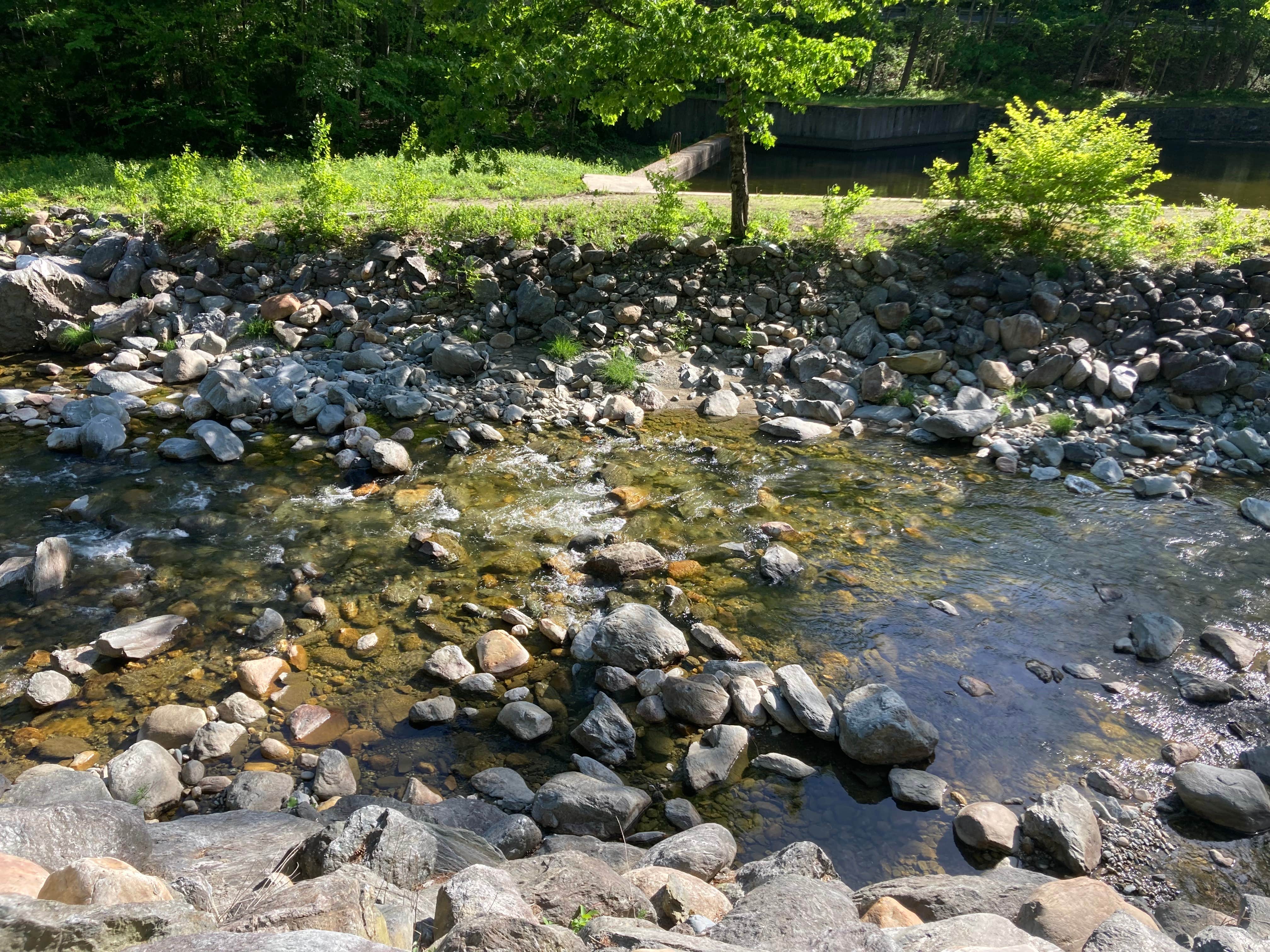 Camper submitted image from Mohawk Trail State Forest - 3