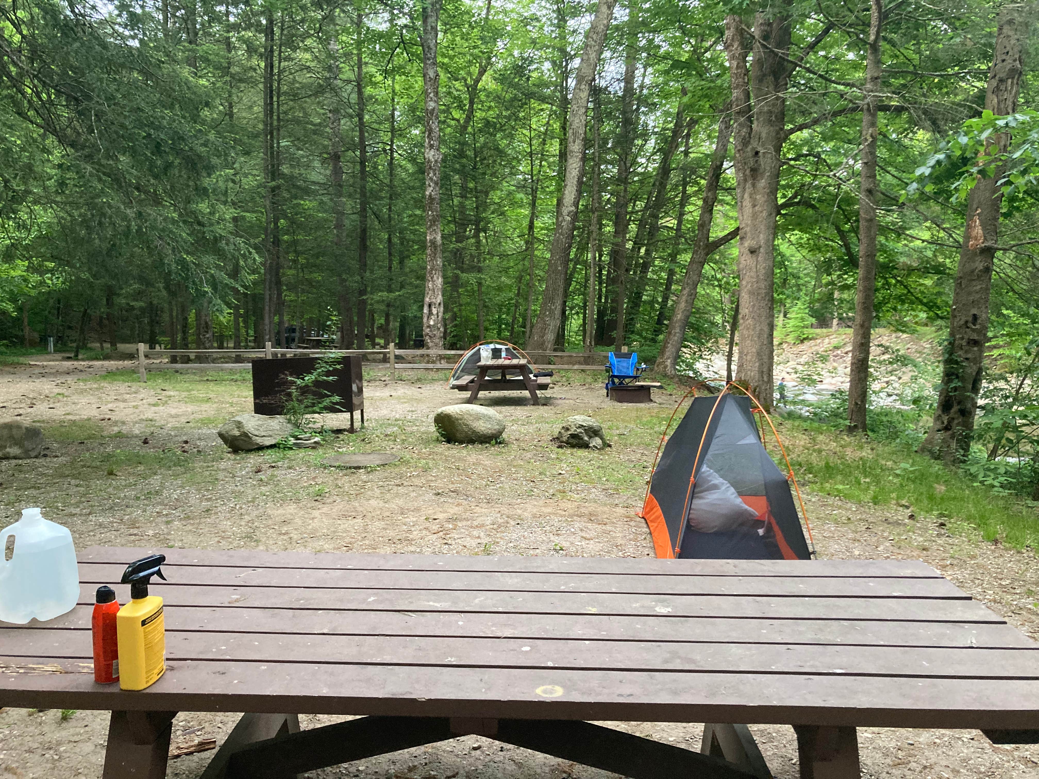 Camper-submitted photo at Mohawk Trail State Forest Campground near Whately, MA