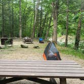 Review photo of Mohawk Trail State Forest by Ryan A., June 12, 2024