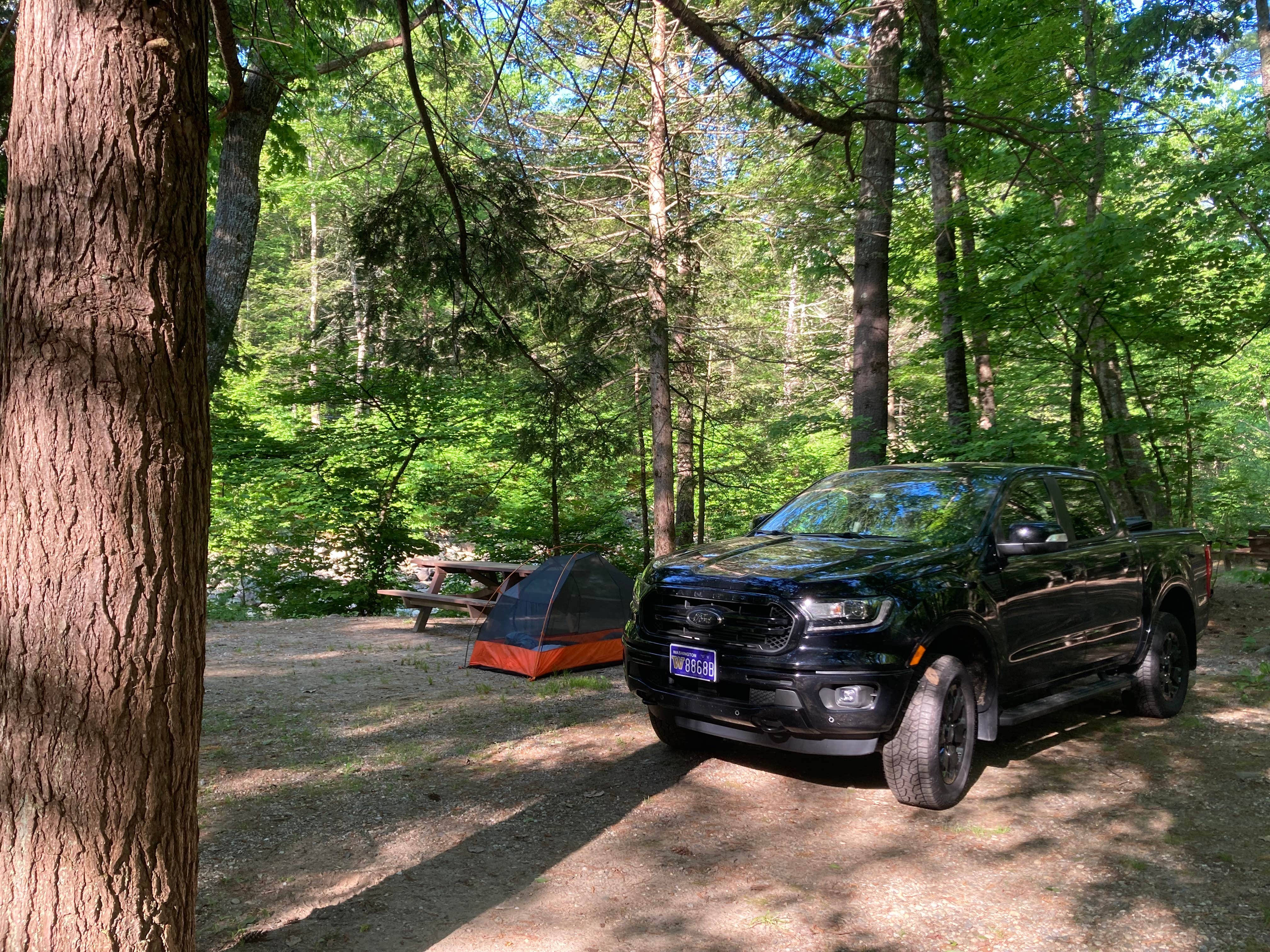 Mohawk Trail State Forest Camping Charlemont MA