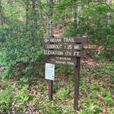 Review photo of Mohawk Trail State Forest by Ryan A., June 12, 2024