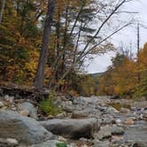 Review photo of Mohawk Trail State Forest Campground by Sue B., August 2, 2026