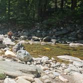 Review photo of Mohawk Trail State Forest by Matt R., July 5, 2024