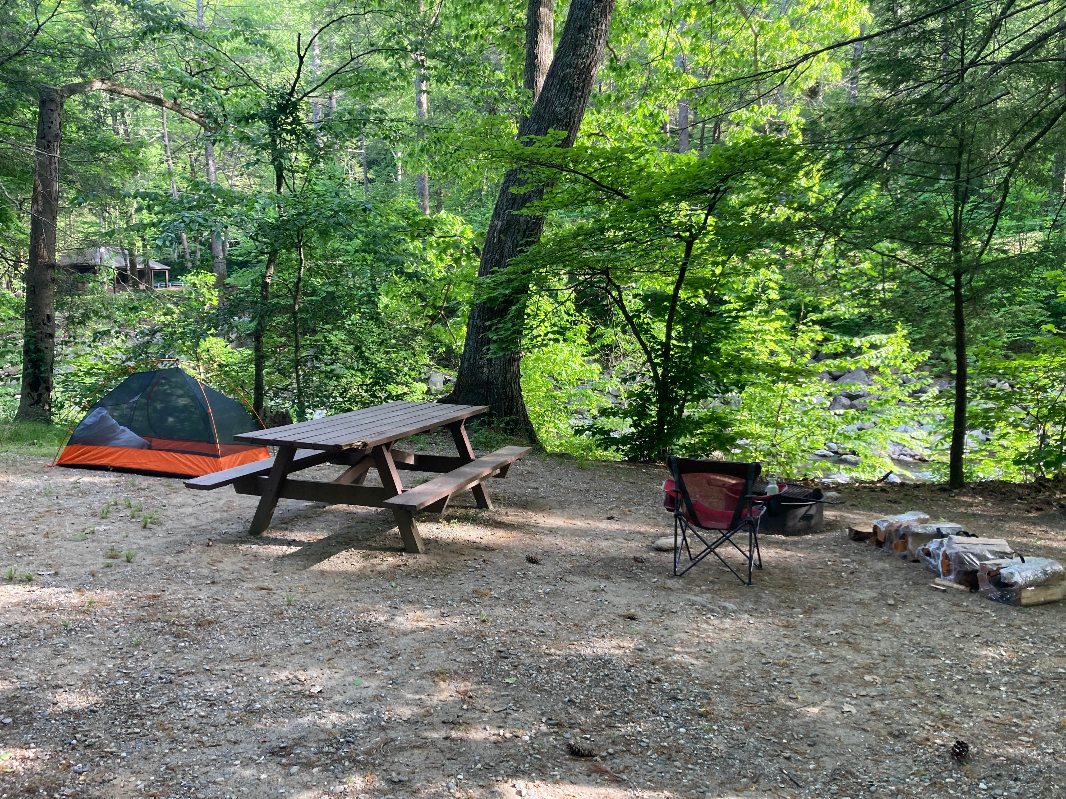 Camper-submitted photo at Mohawk Trail State Forest Campground near Whately, MA
