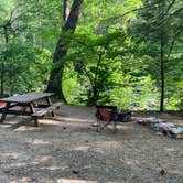 Review photo of Mohawk Trail State Forest by Ryan A., June 12, 2024