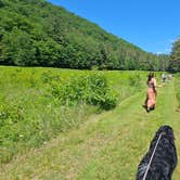 Review photo of Mohawk Trail State Forest by Matt R., July 5, 2024