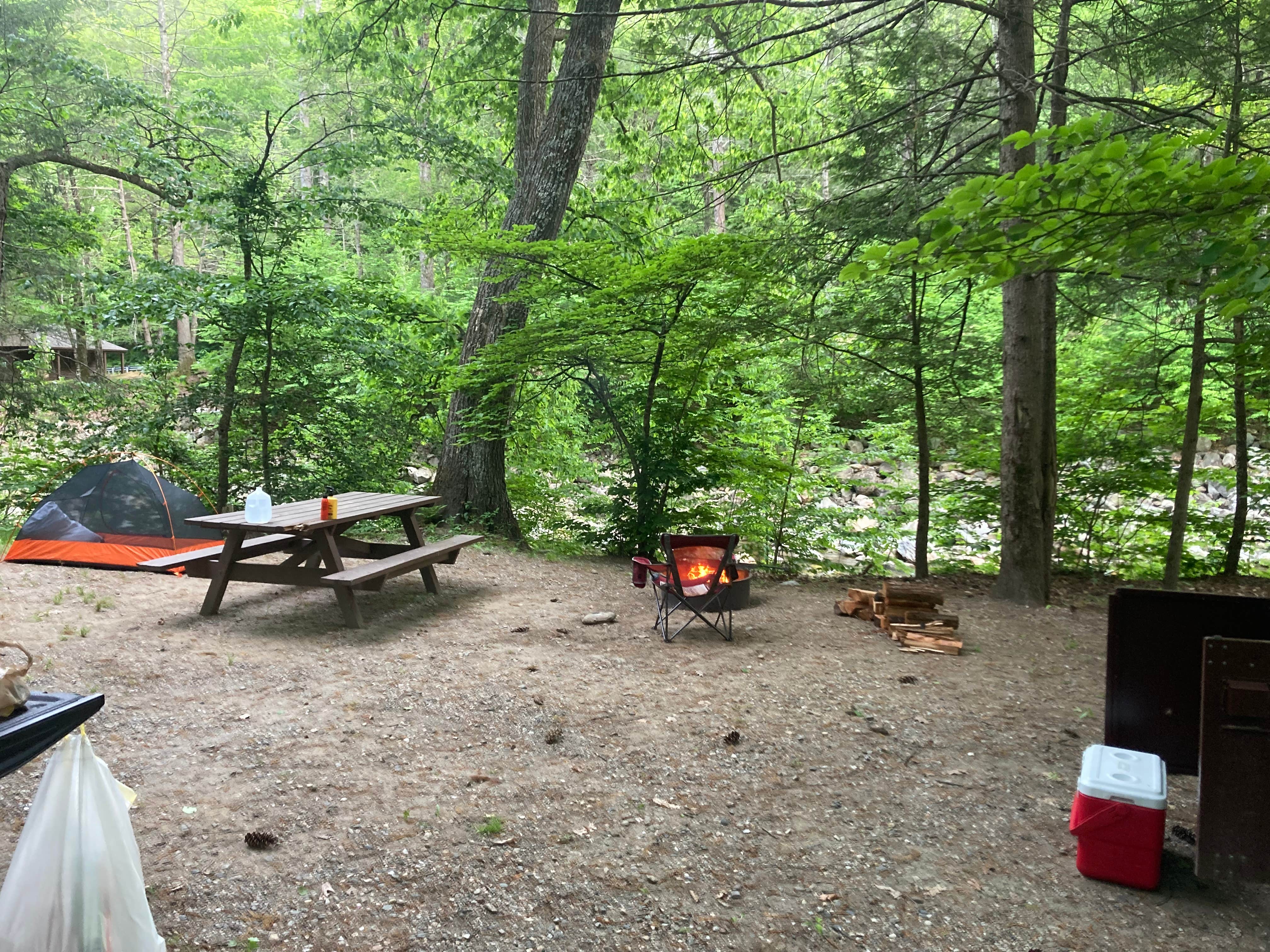 Camper-submitted photo at Mohawk Trail State Forest Campground near Whately, MA
