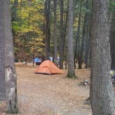 Review photo of Mohawk Trail State Forest Campground by Sue B., August 2, 2026