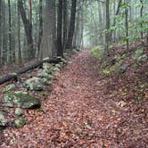Review photo of October Mountain State Forest Campground by susan F., July 26, 2026