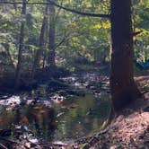 Review photo of Otter River State Forest by Emily T., July 15, 2026