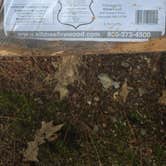 Review photo of Otter River State Forest by Maggie B., July 8, 2026