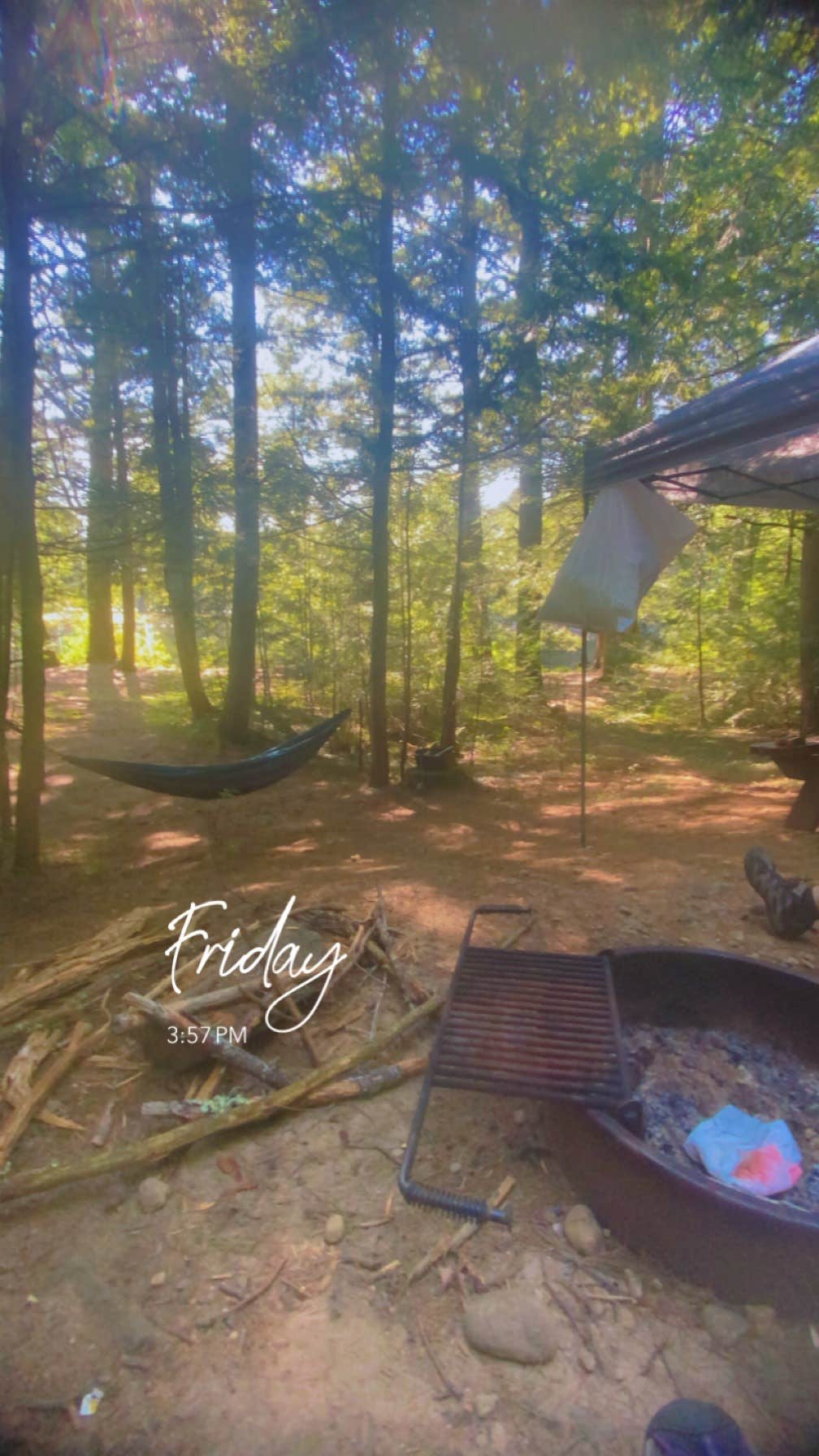 Shannon S.'s photo at Otter River State Forest near Fitchburg, MA