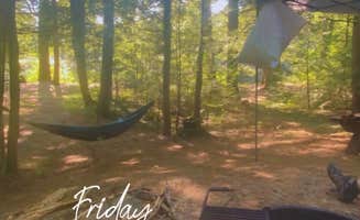 Shannon S.'s photo at Otter River State Forest near Tully Lake