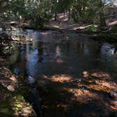 Review photo of Otter River State Forest by Emily T., July 15, 2026