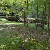Review photo of Pittsfield State Forest Campground by Tracy M., July 25, 2026