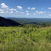 Review photo of Pittsfield State Forest Campground by Tracy M., July 25, 2026