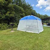 Review photo of Pittsfield State Forest Campground by Tracy M., July 25, 2026