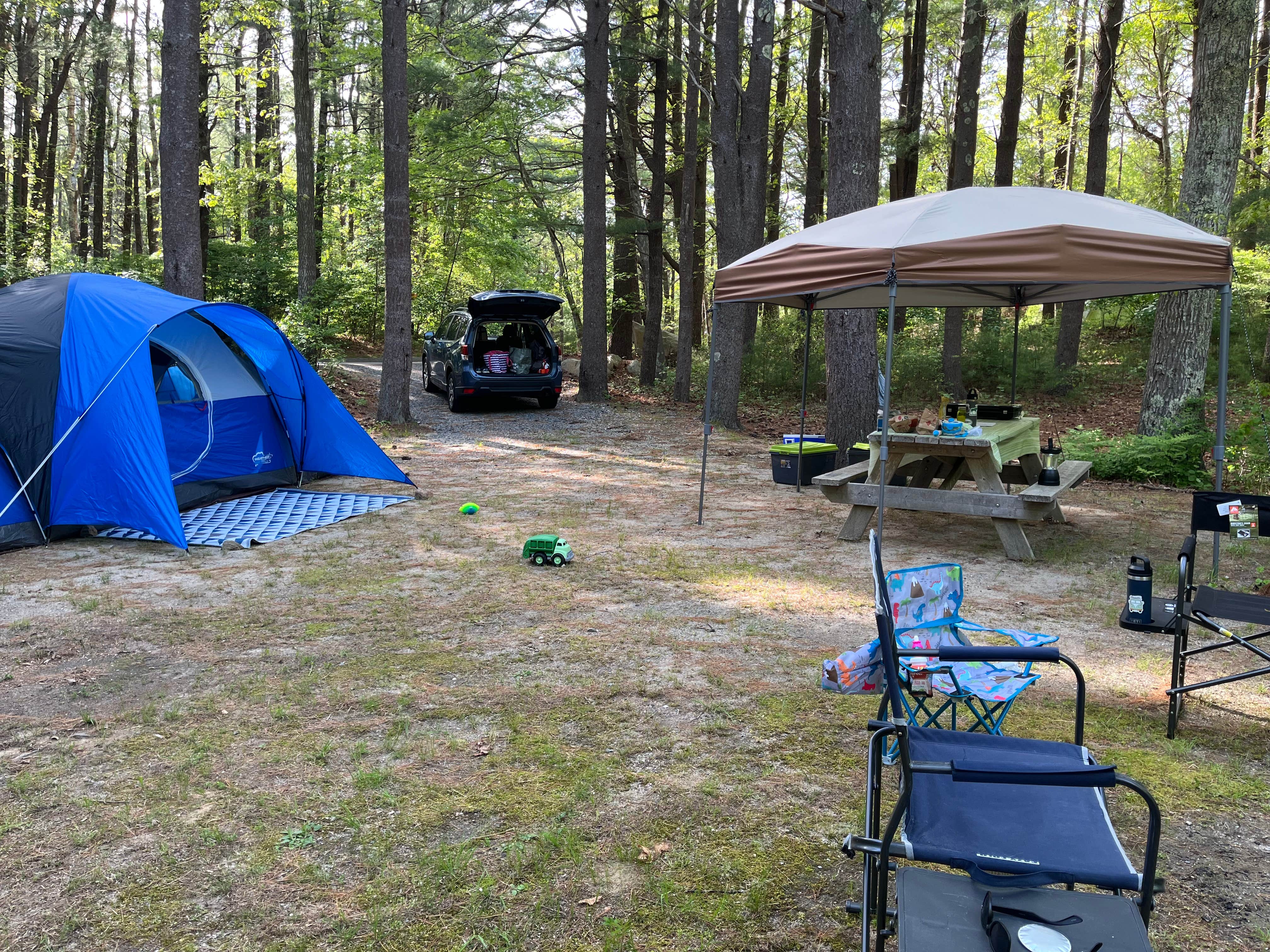 Kaileigh K.'s photo at Shawme Crowell State Forest Campground near Chatham, MA