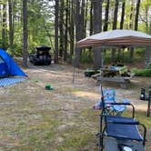 Review photo of Shawme Crowell State Forest by Kaileigh K., May 27, 2024