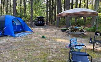 Kaileigh K.'s photo at Shawme Crowell State Forest Campground near Truro, MA
