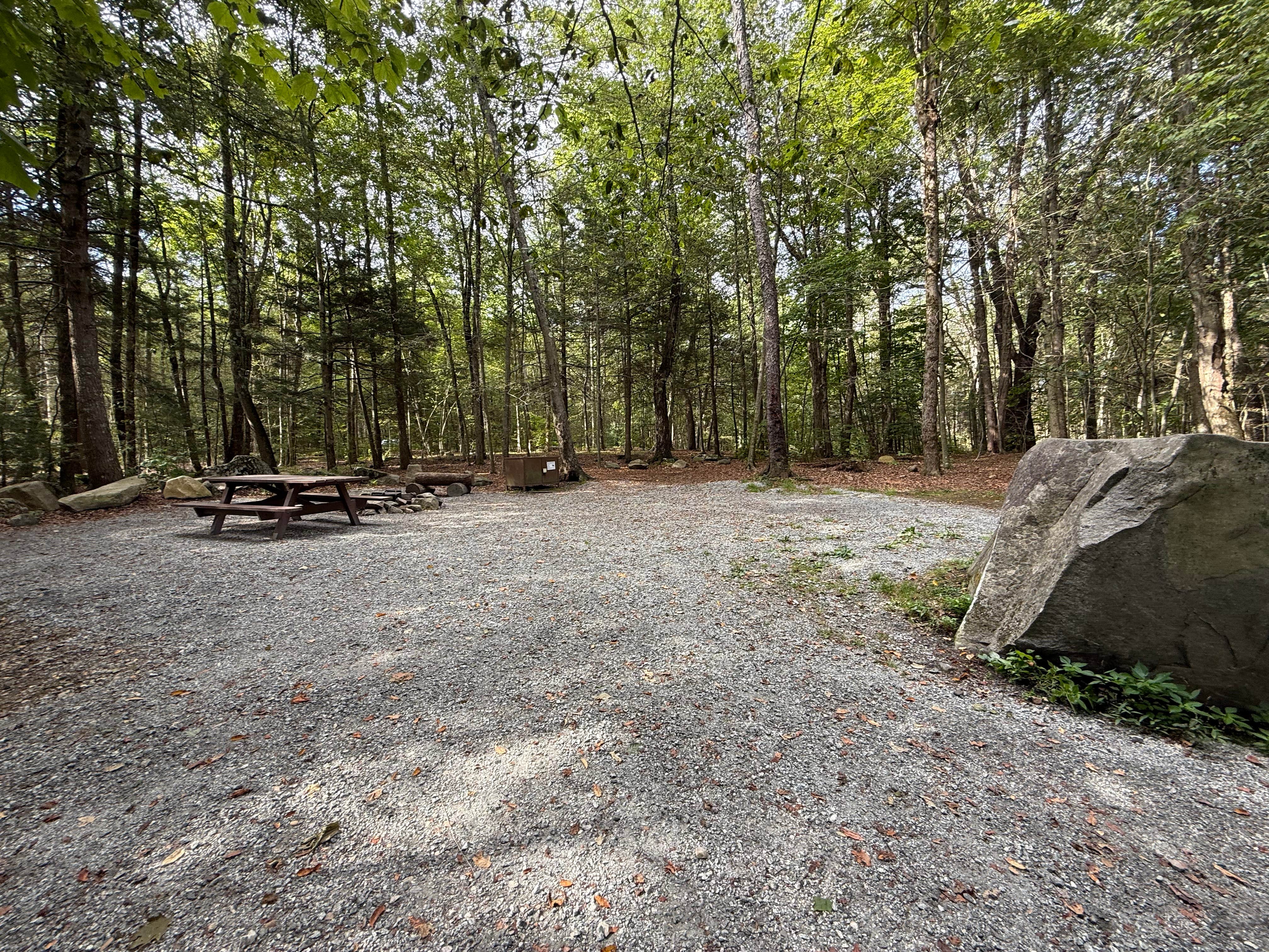 Camper-submitted photo at Tolland State Forest Campground near Monterey, MA