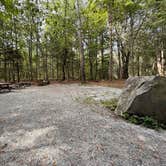 Review photo of Tolland State Forest Campground by Nicole G., August 24, 2025