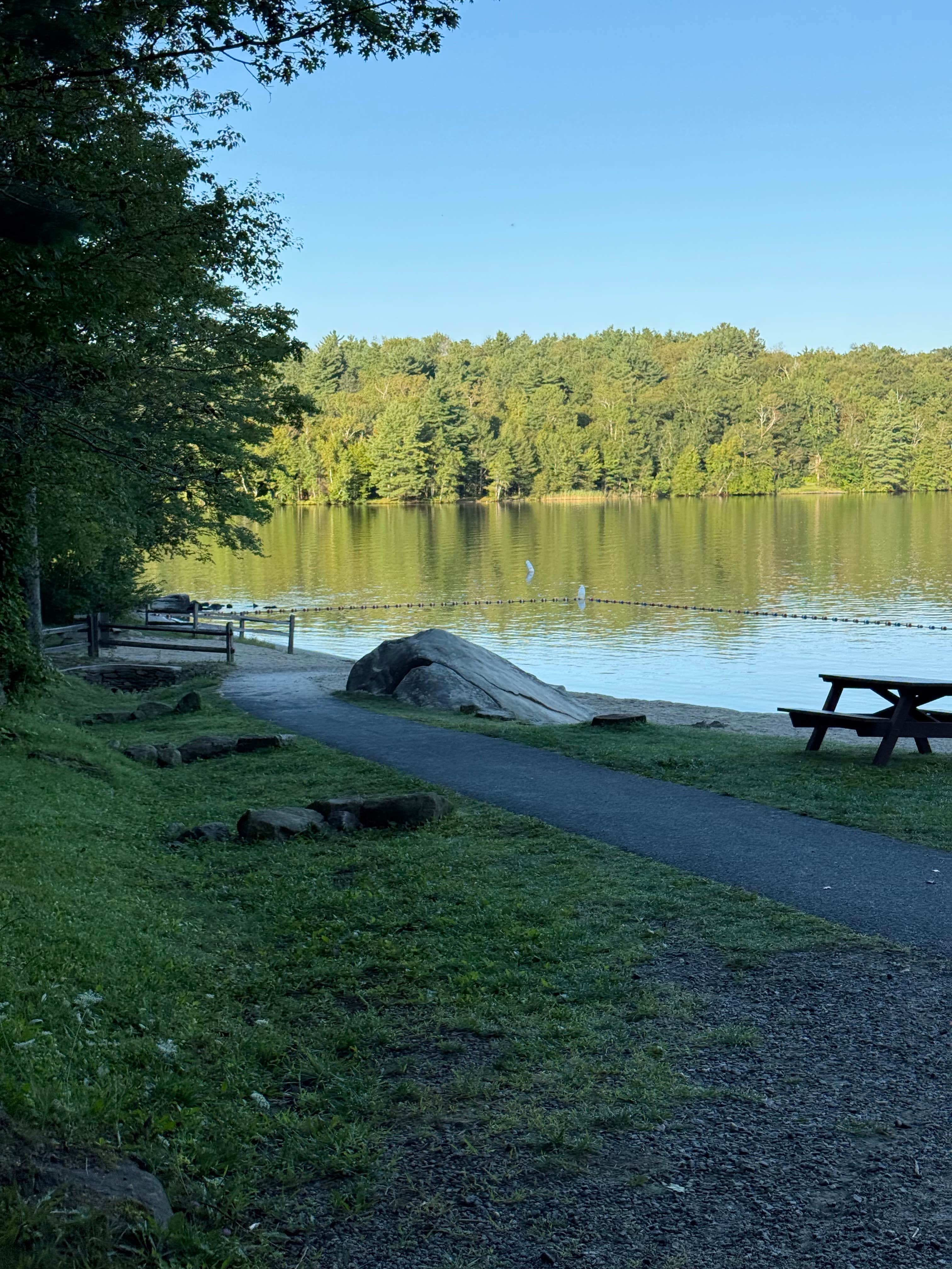 Camper-submitted photo at Tolland State Forest Campground near Monterey, MA