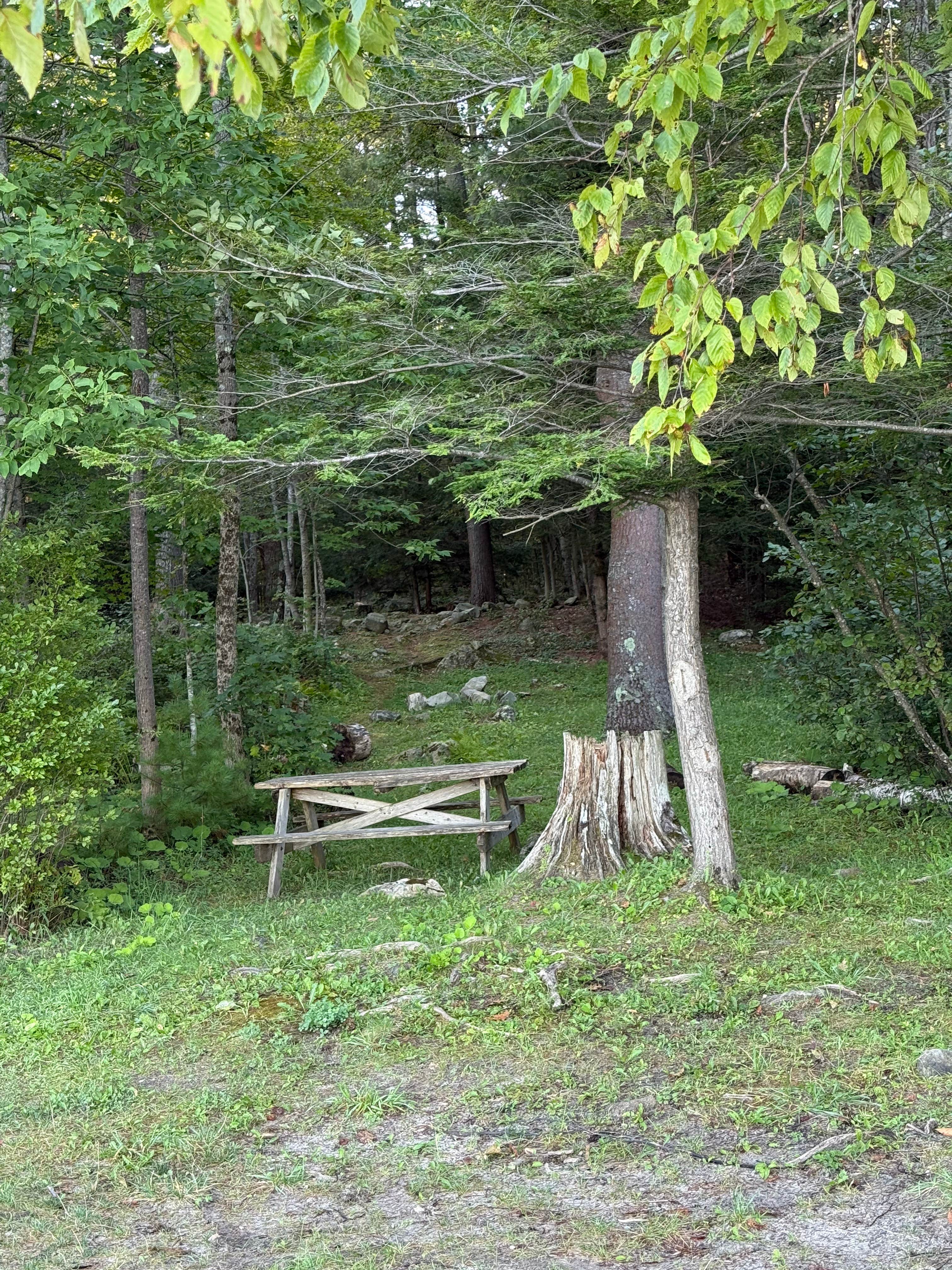 Camper-submitted photo at Tolland State Forest Campground near Monterey, MA