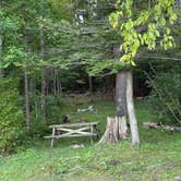 Review photo of Tolland State Forest Campground by Nicole G., August 24, 2025