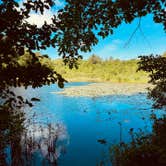 Review photo of Wompatuck State Park Campground by Paulina B., June 21, 2024