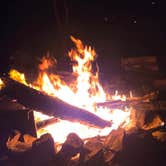 Review photo of Wompatuck State Park Campground by Eric LeBoeuf , August 6, 2025