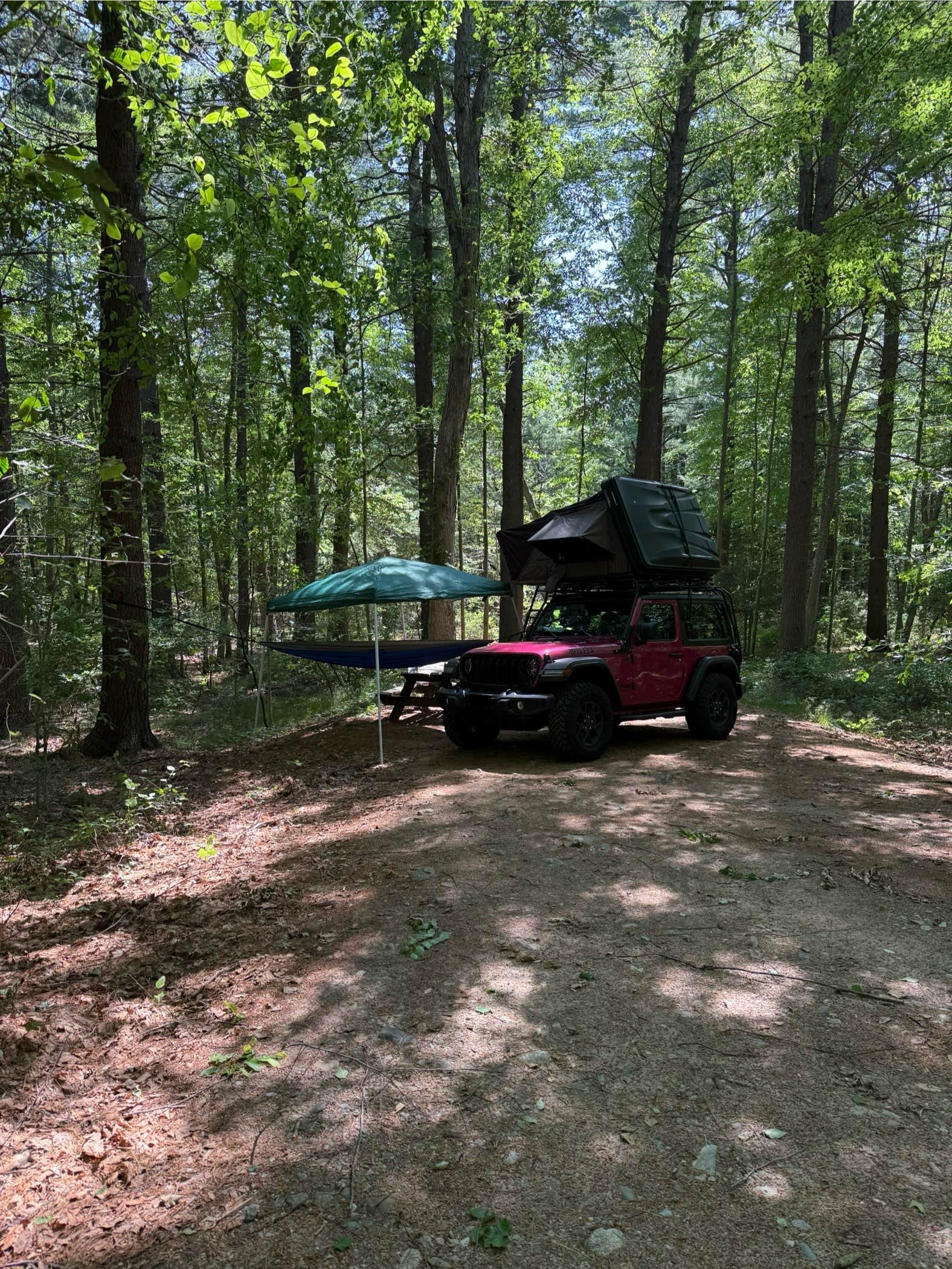 Tim L.'s photo at Wompatuck State Park Campground near Hull, MA