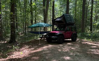 Tim L.'s photo at Wompatuck State Park Campground near Rockland, MA