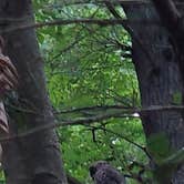 Review photo of Wompatuck State Park Campground by Eric LeBoeuf , August 6, 2025